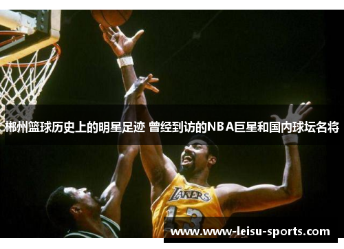郴州篮球历史上的明星足迹 曾经到访的NBA巨星和国内球坛名将