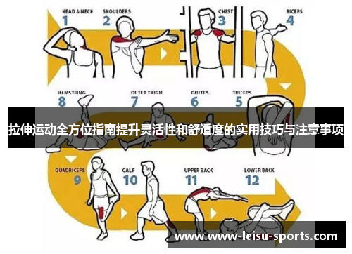 拉伸运动全方位指南提升灵活性和舒适度的实用技巧与注意事项